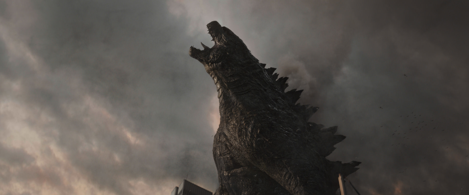 فیلم Godzilla Roars Godzilla 2014