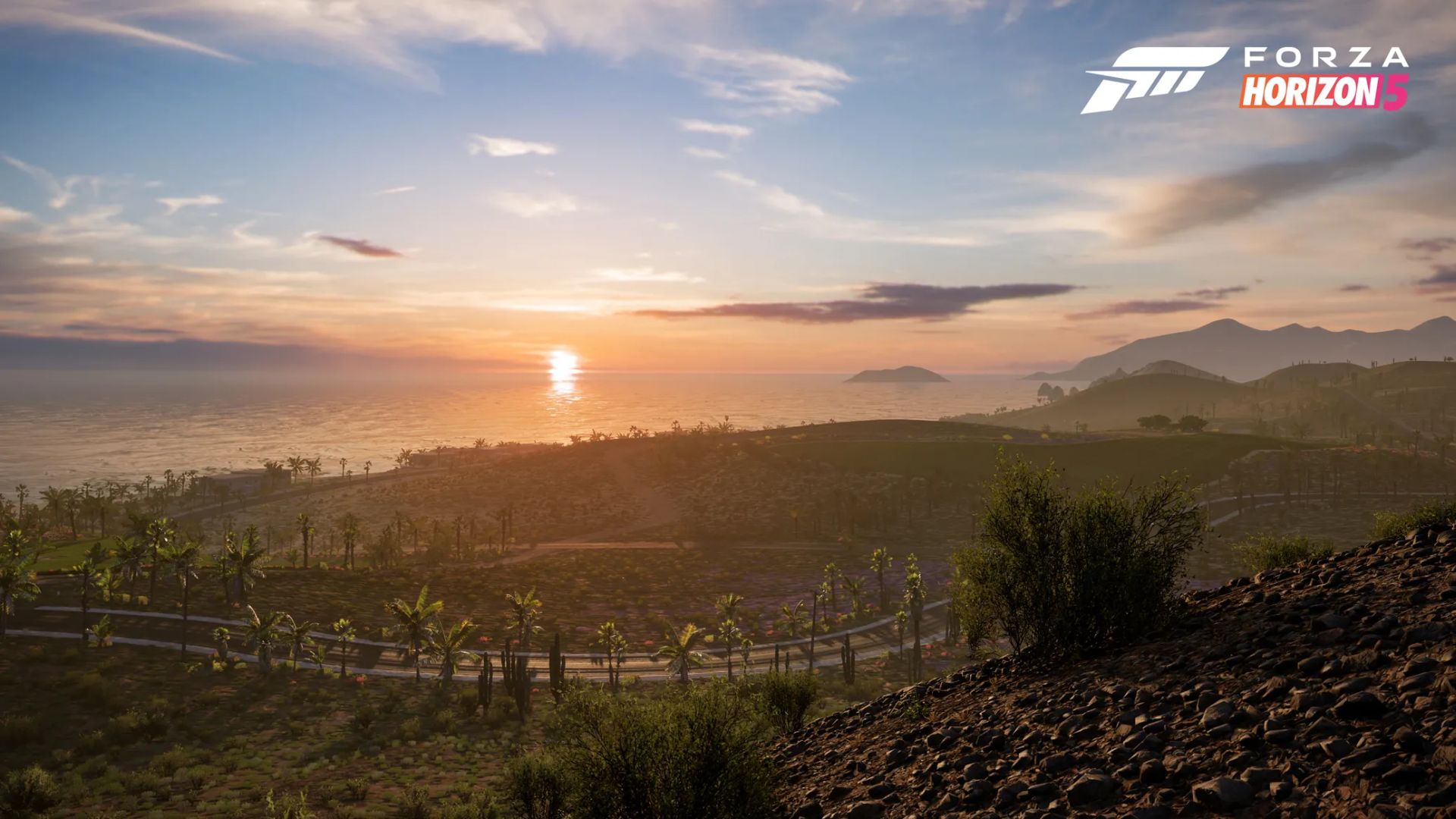 جاده خشک و کویری بازی Forza Horizon 5