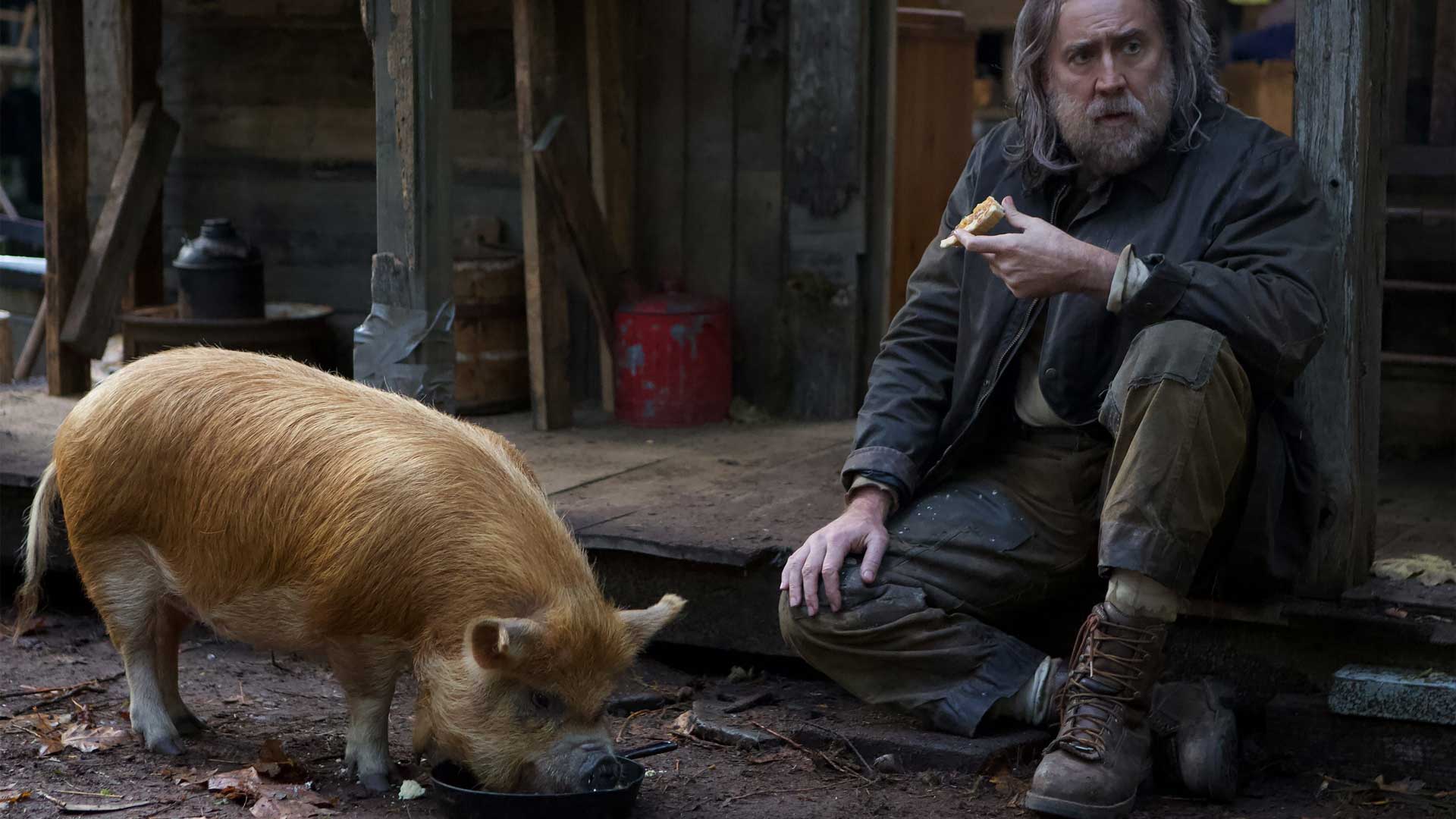 نقد فیلم Pig | تنهایی ابدی انسان