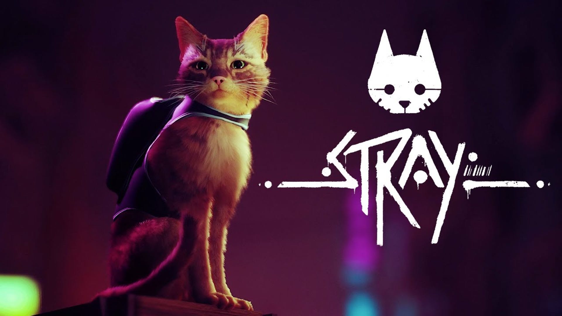 بازی Stray | گربه‌ای در میان ربات‌ها