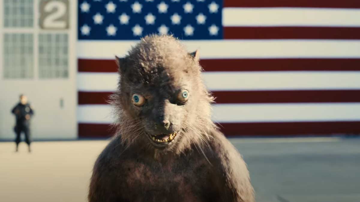 ظاهر احمقانه شخصیت ویزل مقابل پرچم بزرگ ایالات متحده آمریکا در فیلم جوخه انتحار به کارگردانی جیمز گان