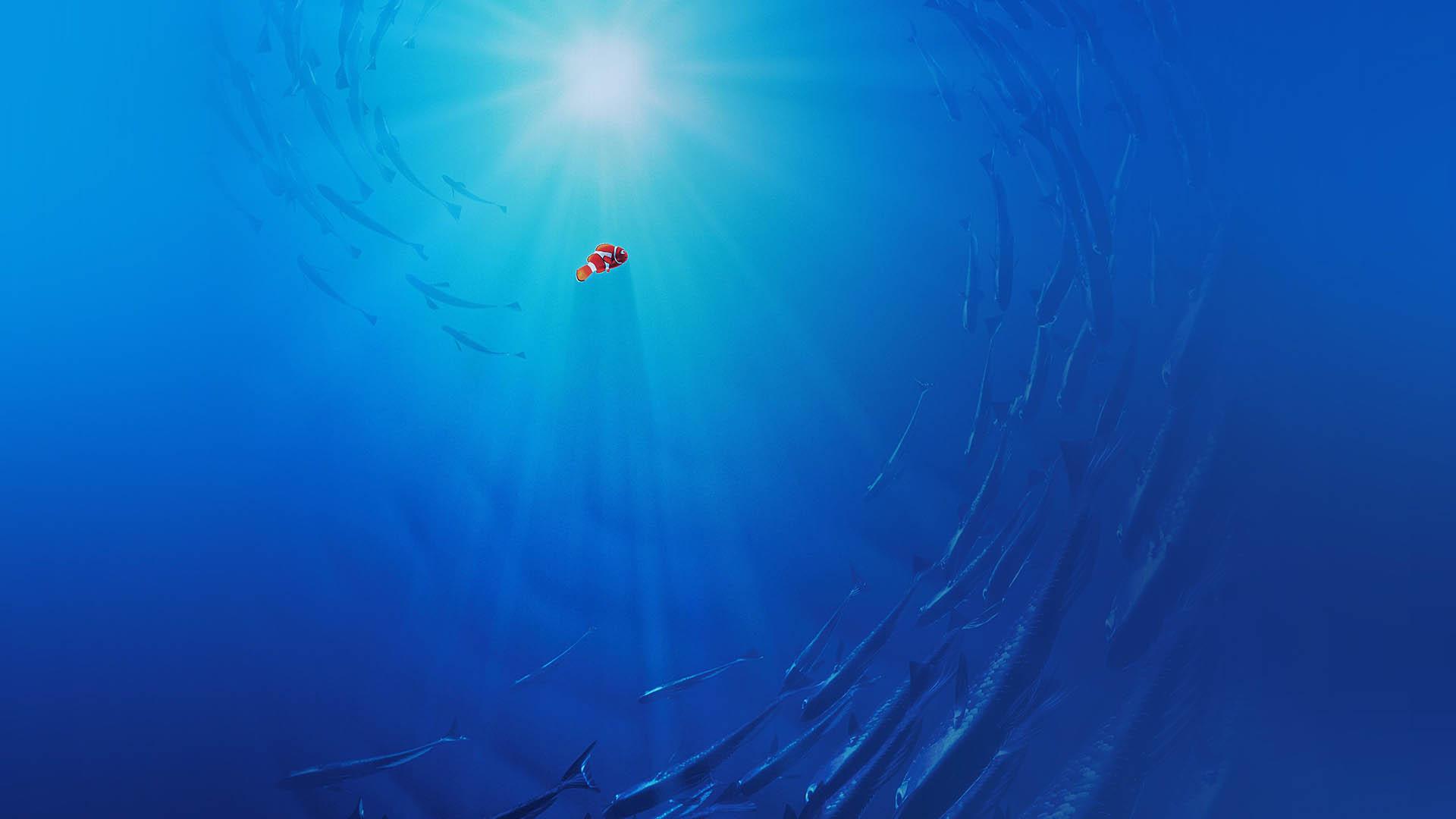 تصویری از شخصیت نمو درمیان ماهی‌های اقیانوس در انیمیشن Finding Nemo