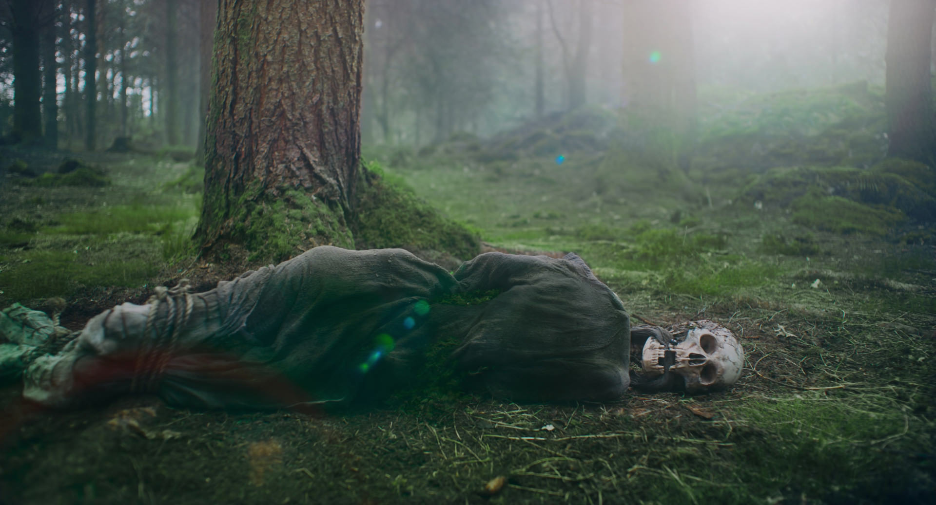 اسکلت گاوین در جنگل باقی می‌ماند فیلم شوالیه سبز