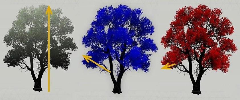 طراحی درختان بازی هورایزن