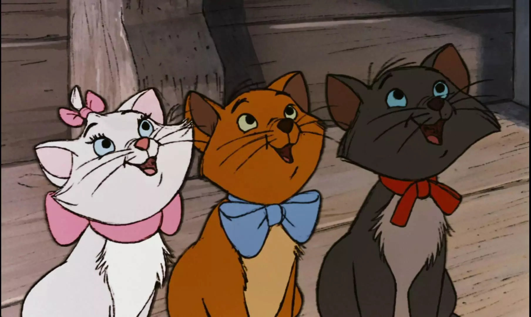 بچه گربه ها در کارتون گربه های اشرافی