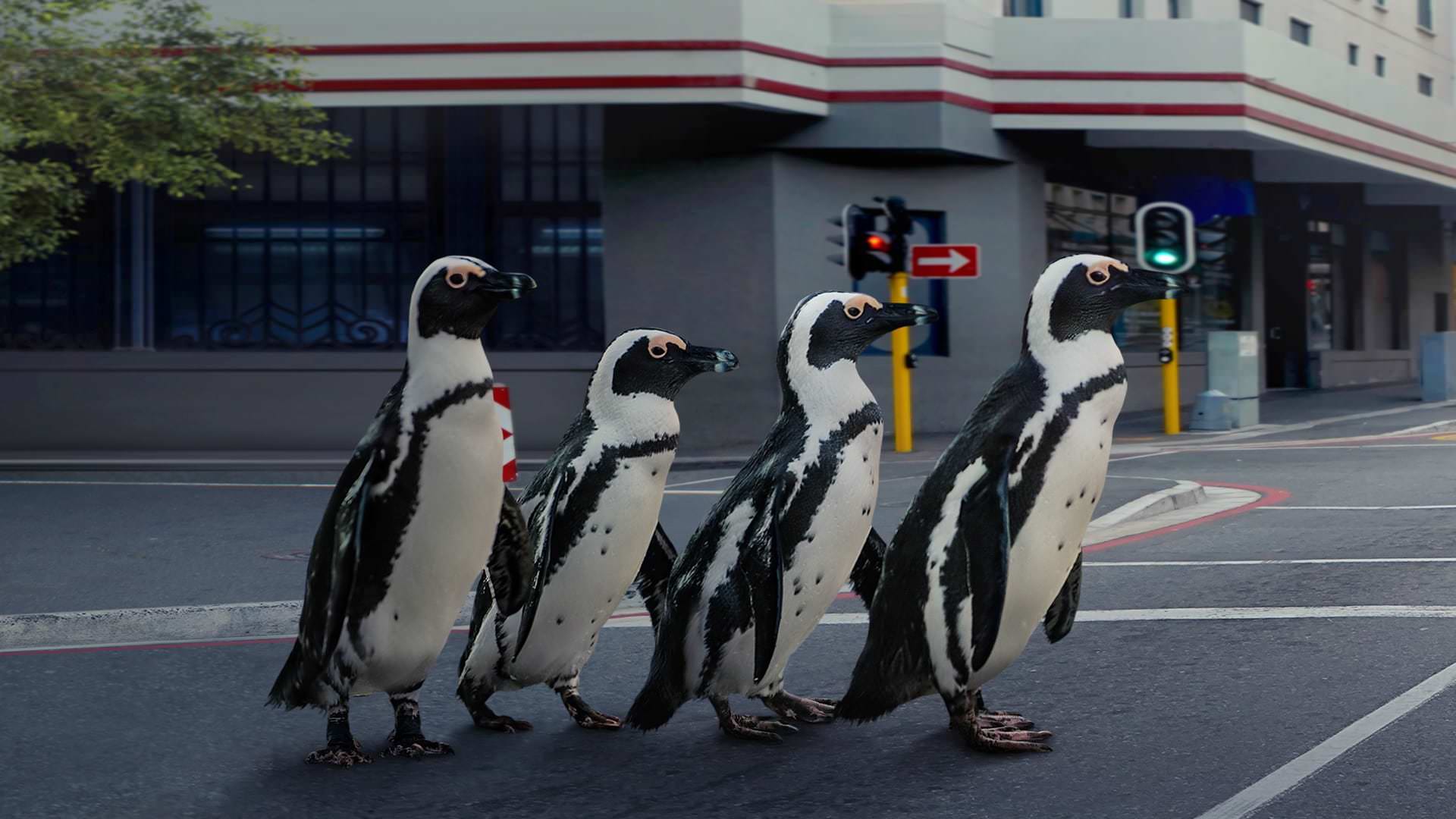 رژه پنگوئن‌ها در خیابان در مستند The Year Earth Changed