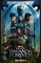 پوستر 4DX فیلم Black Panther: Wakanda Forever