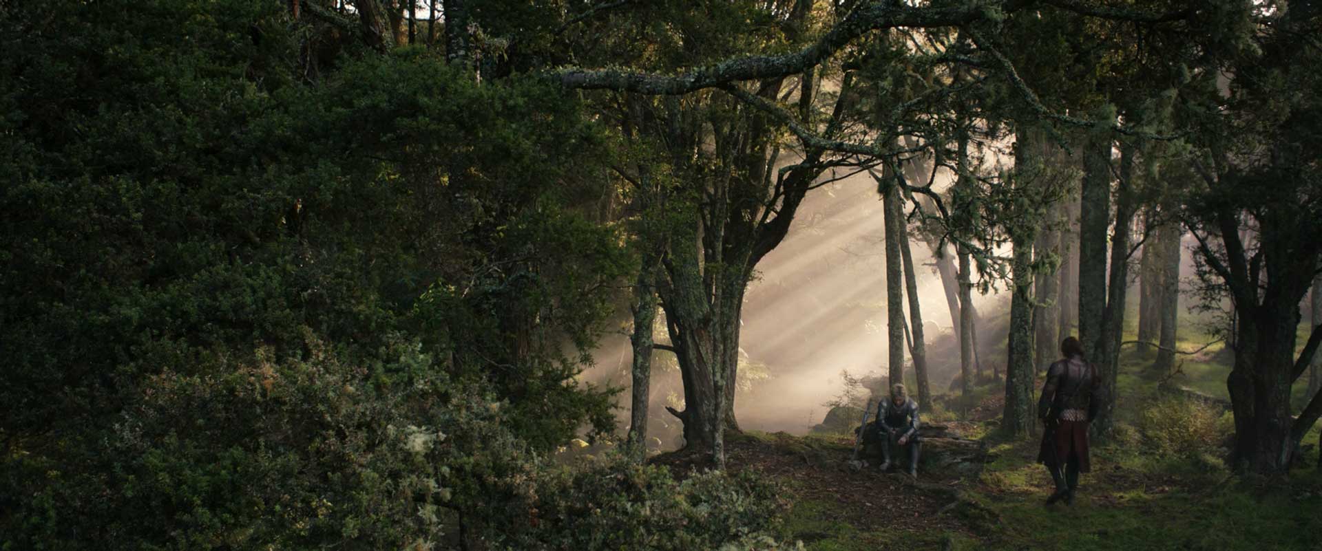 صحبت گالادریل و هلبرند میان درخت ها در ششمین قسمت اولین فصل سریال The Lord of The Rings (ارباب حلقه ها)