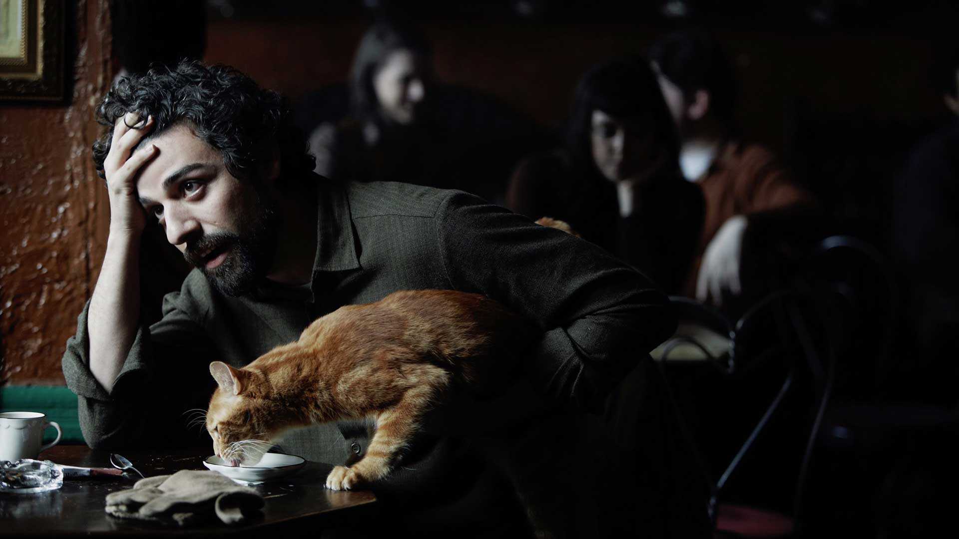 گربه نارنجی ناز مشغول خوردن کنار اسکار آیزاک در فیلم Inside Llewyn Davis به کارگردانی برادران کوئن