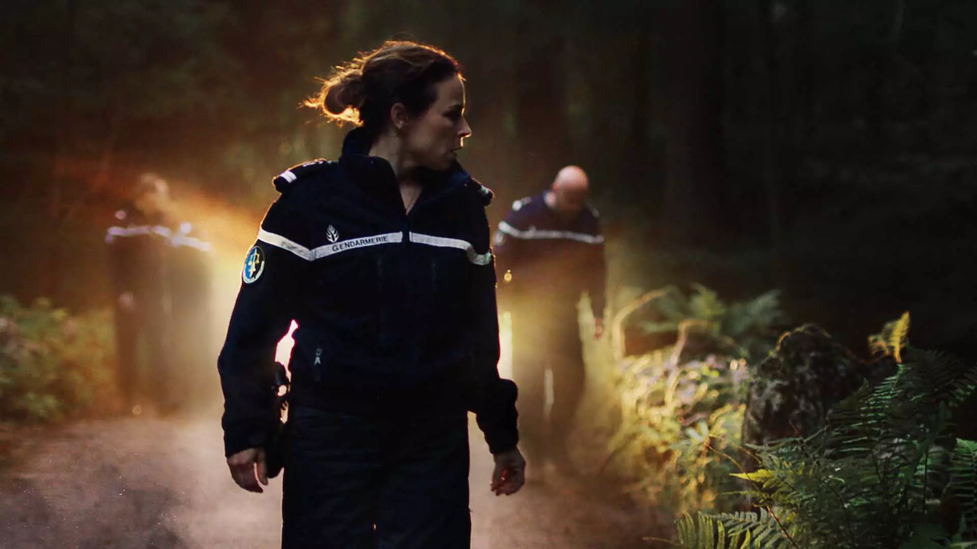 نیروهای نگهبان در سریال The Forest در جنگل در حال تجسس هستند