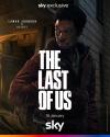 پوستر هنری در سریال The Last of Us شبکه HBO