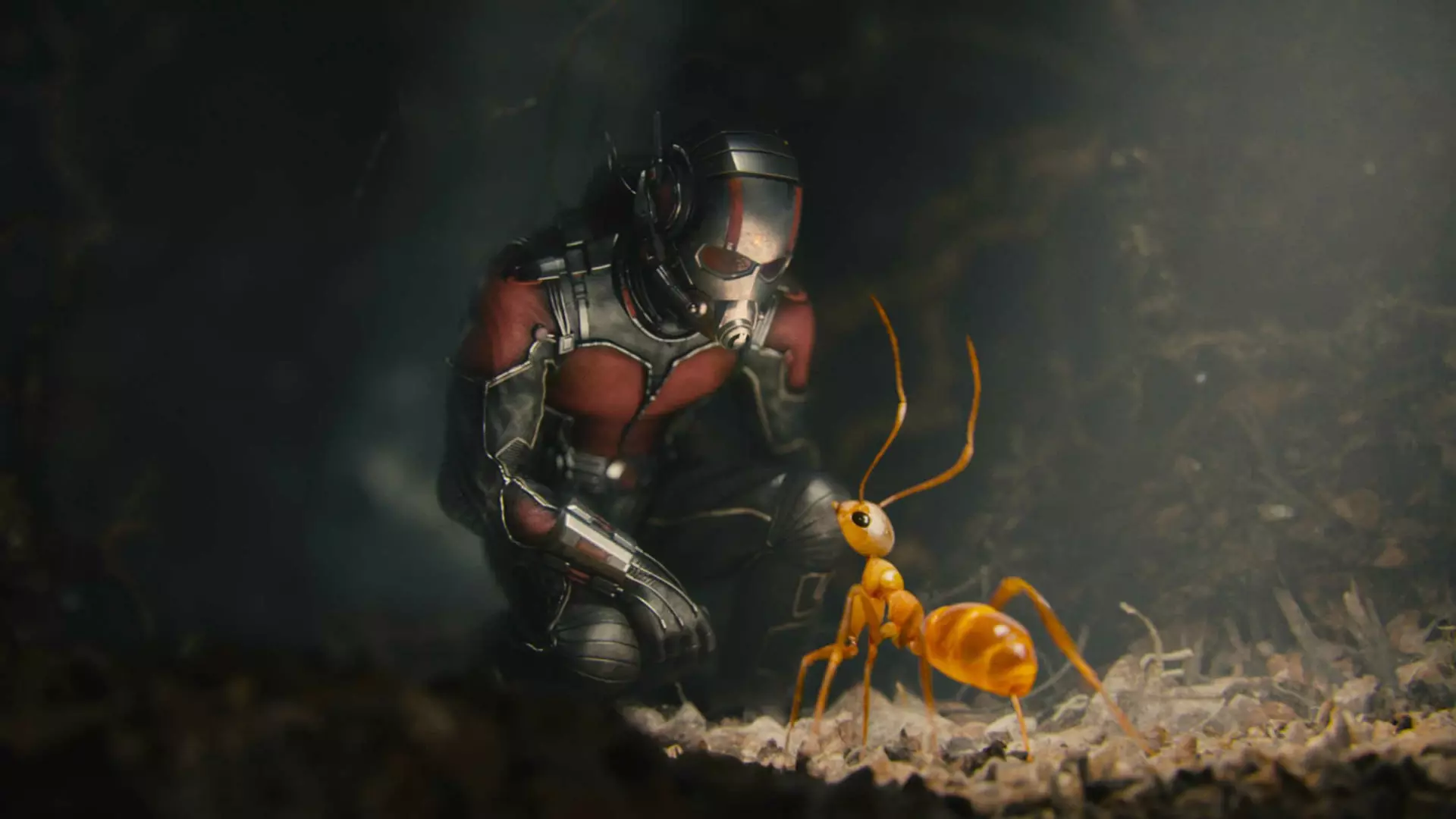 ملاقات اسکات لنگ با مورچه در فیلم Ant-Man