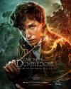 ادی ردمین در نقش نیوت اسکمندر پوسترهای شخصیت فیلم Fantastic Beasts: The Secrets of Dumbledore