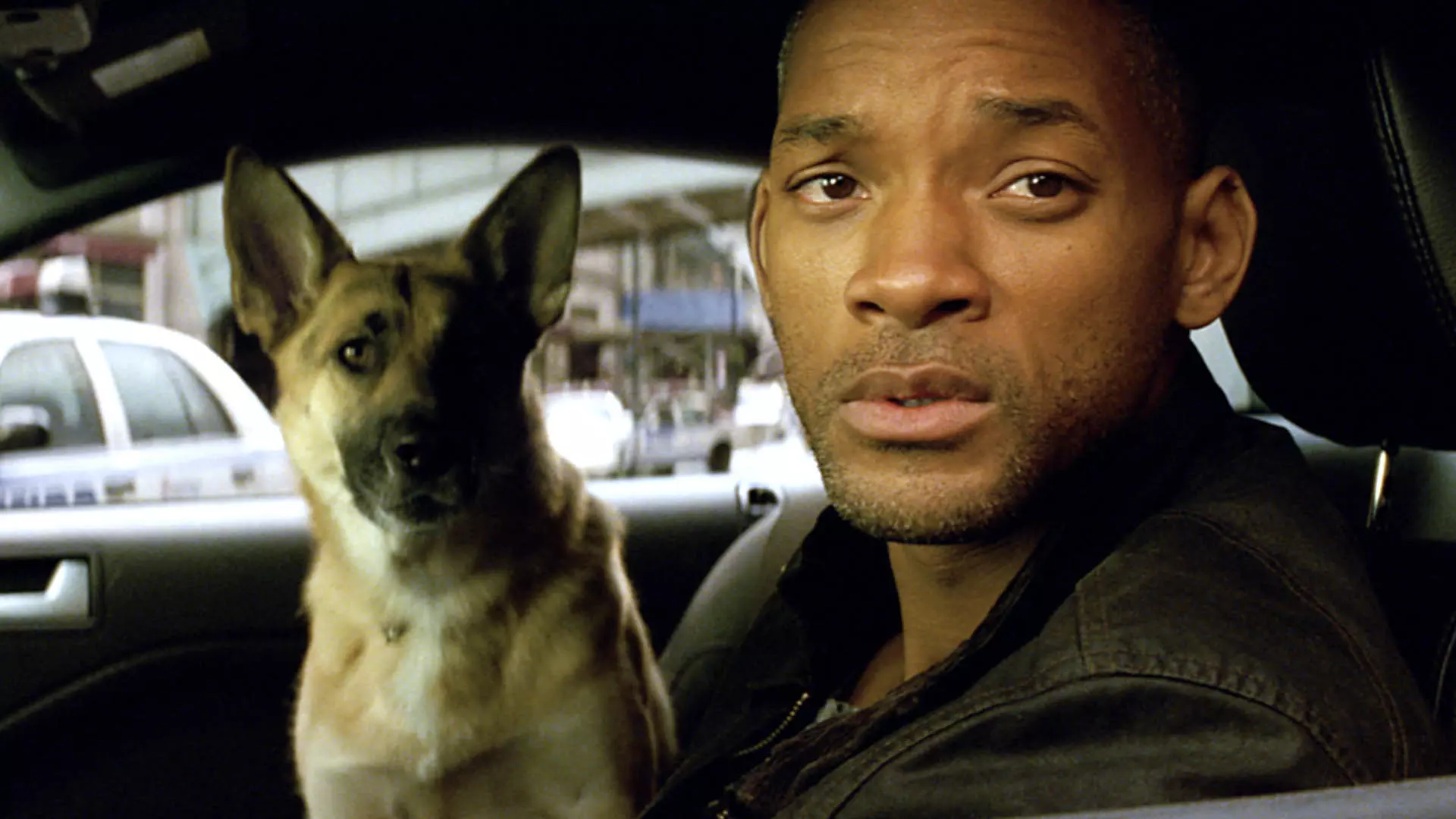 ویل اسمیت به همراه سگ خود در فیلم I Am Legend