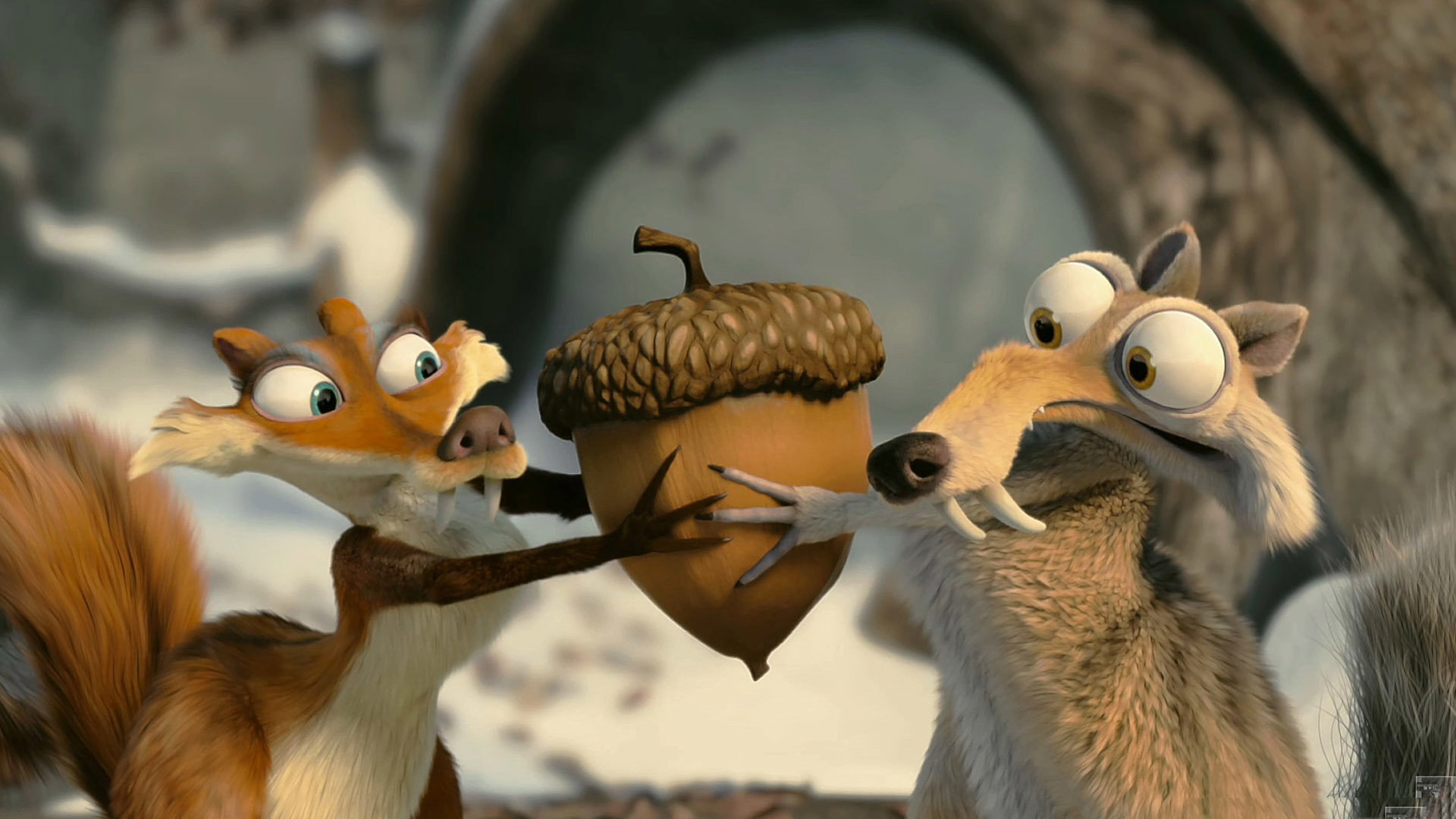 سنجاب‌ها سر بلوط با هم مبارزه می‌کنند انیمیشن عصر یخبندان