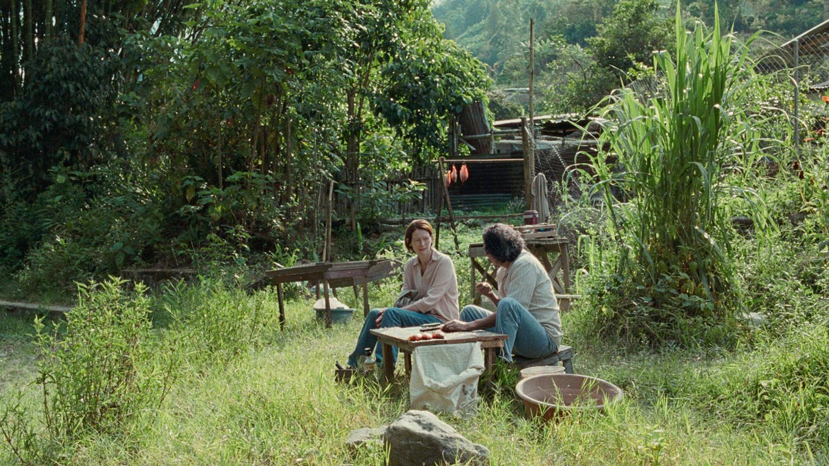 تیلدا سویینتون نشسته در طبیعت در فیلم مموریا