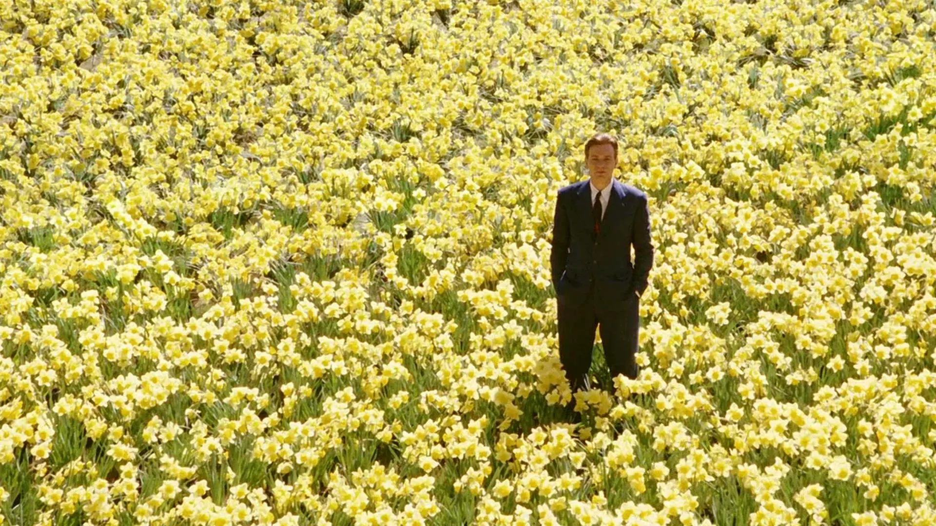 ایوان مک گرگور در نقش ادوارد بلوم در میان دشتی از گلهای زرد در فیلم ماهی بزرگ