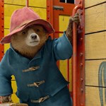 جدایی ریچل زگلر از فیلم Paddington in Peru