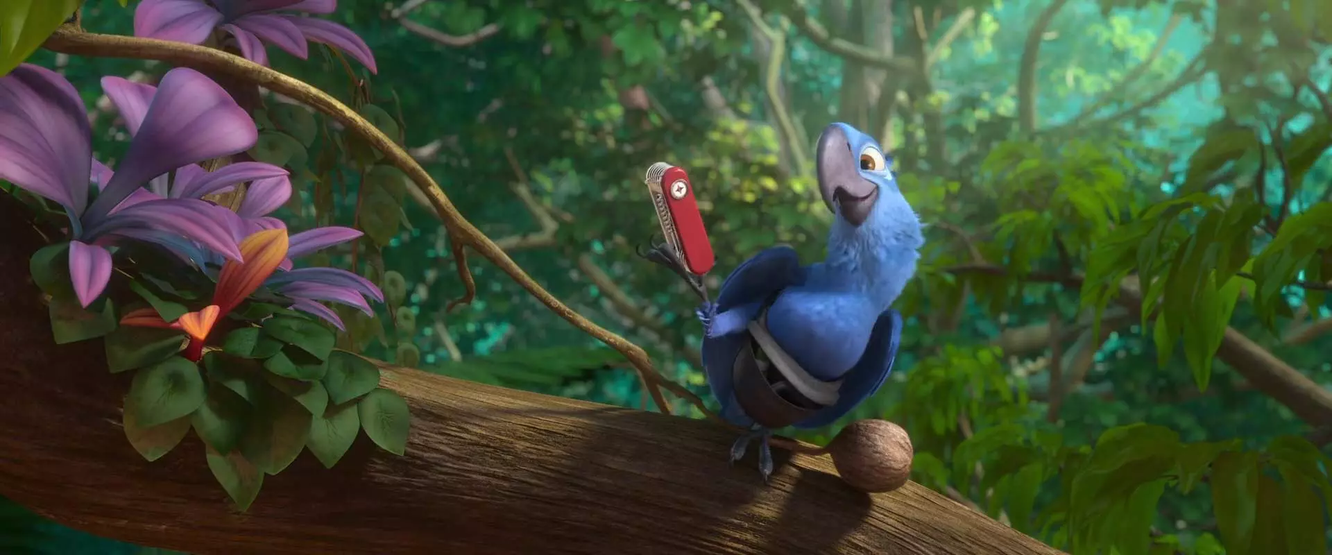 طوطی آبی رنگ به نام بلو در انیمیشن ریو