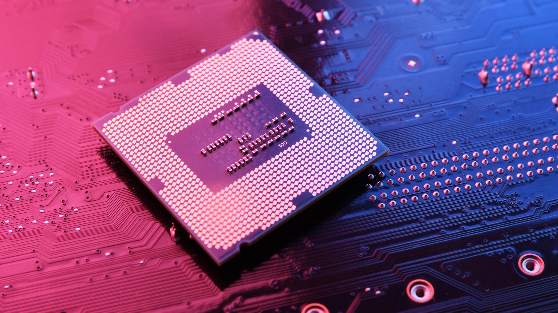 نظرسنجی سخت افزاری جدید استیم؛ پیشرفت AMD و بی‌رقیبی انویدیا در بازار  