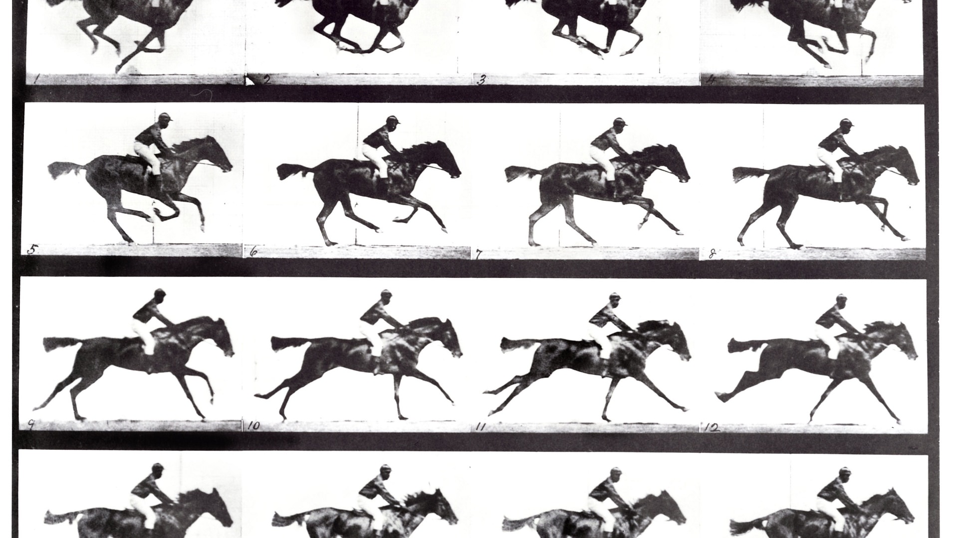 sequence-of-a-galloping-horse