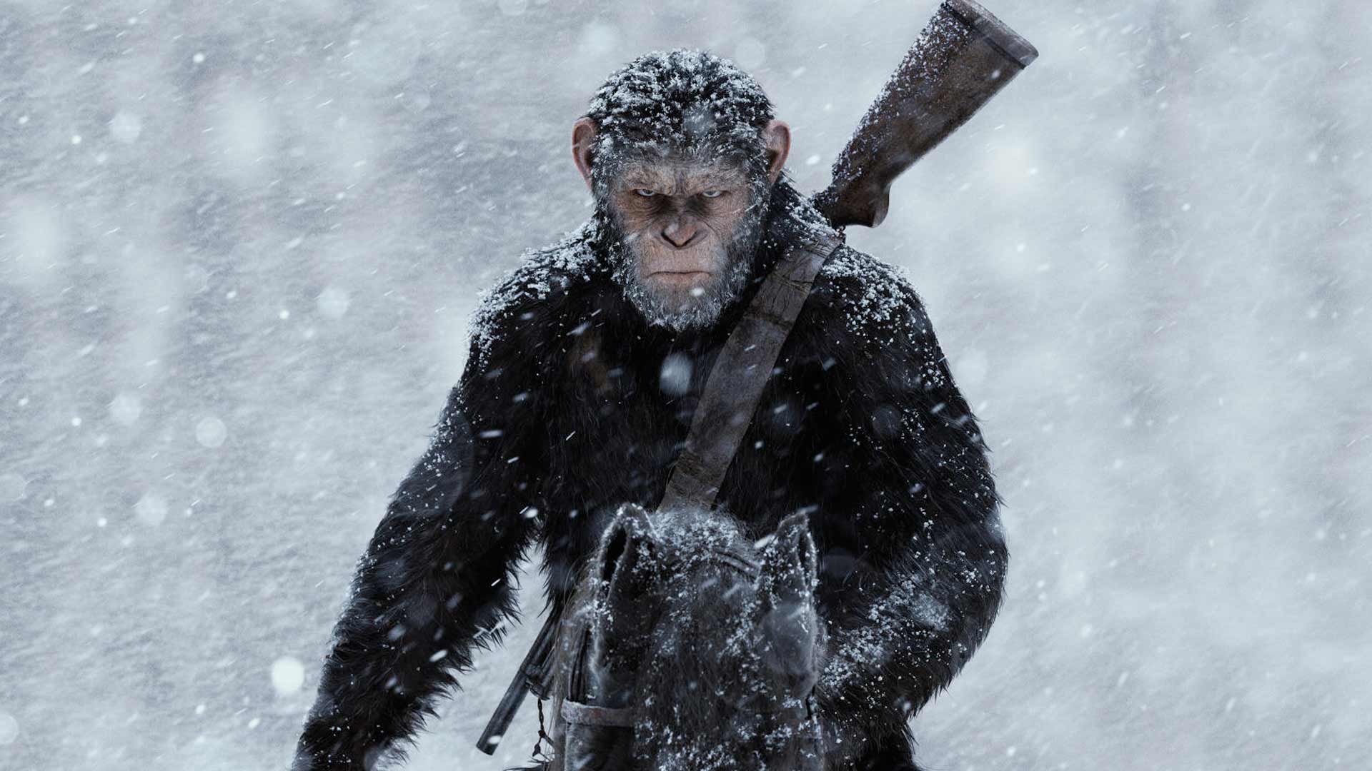 مشخص شدن نام، بازیگران و سال اکران فیلم سیاره میمون ها جدید | انتشار اولین تصویر