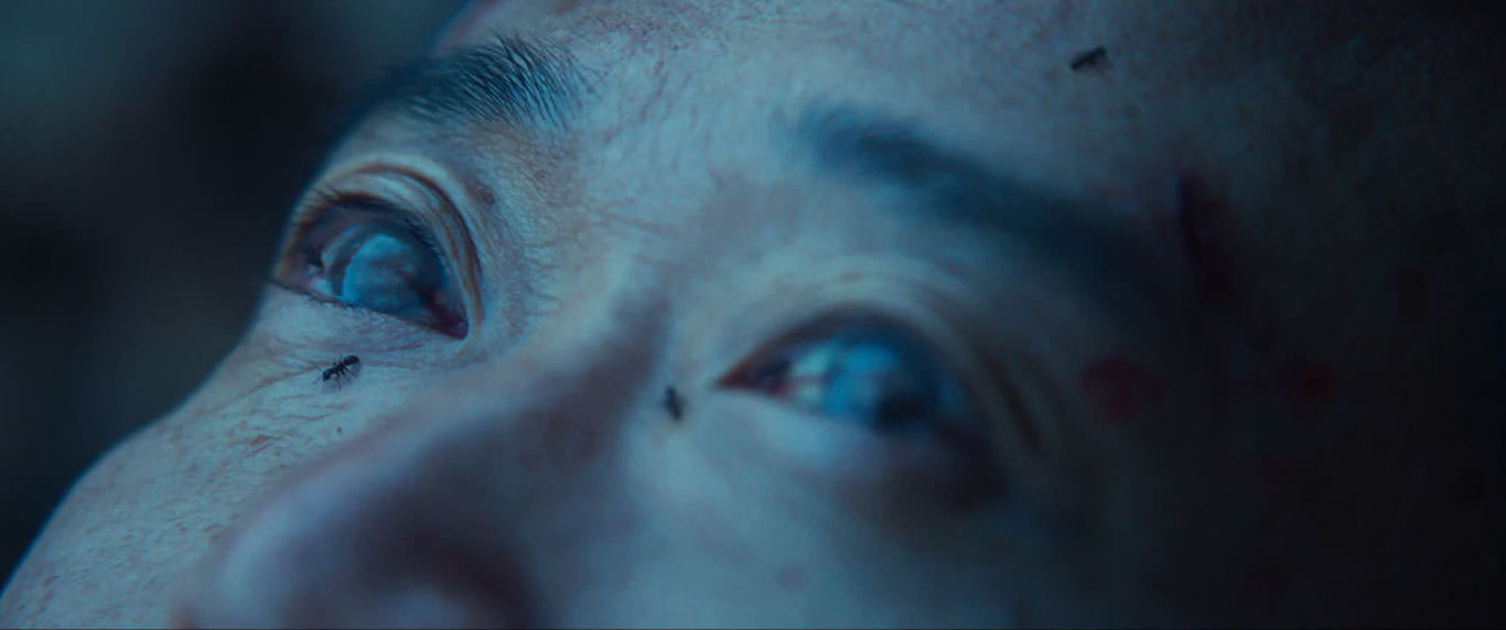 نمایی از چشمان یک جنازه در فیلم عزم رفتن به کارگردانی پارک چان ووک
