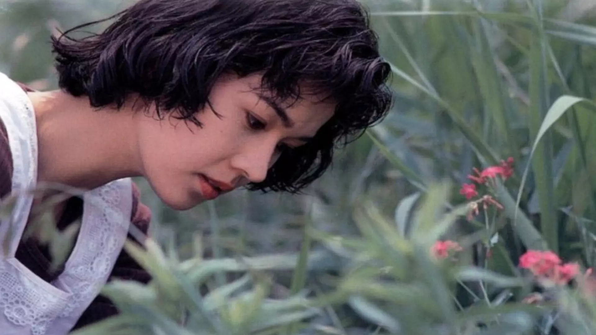 دوست تاکورا در حال بوییدن گل در فیلم مارماهی