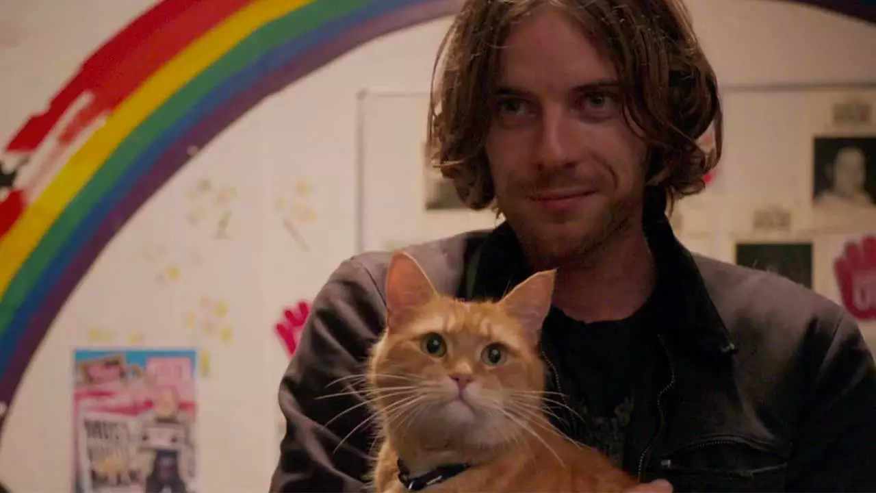 گربه خیابانی به نام باب در آغوش جیمز در فیلم گربه خیابانی به نام باب محصول 2016