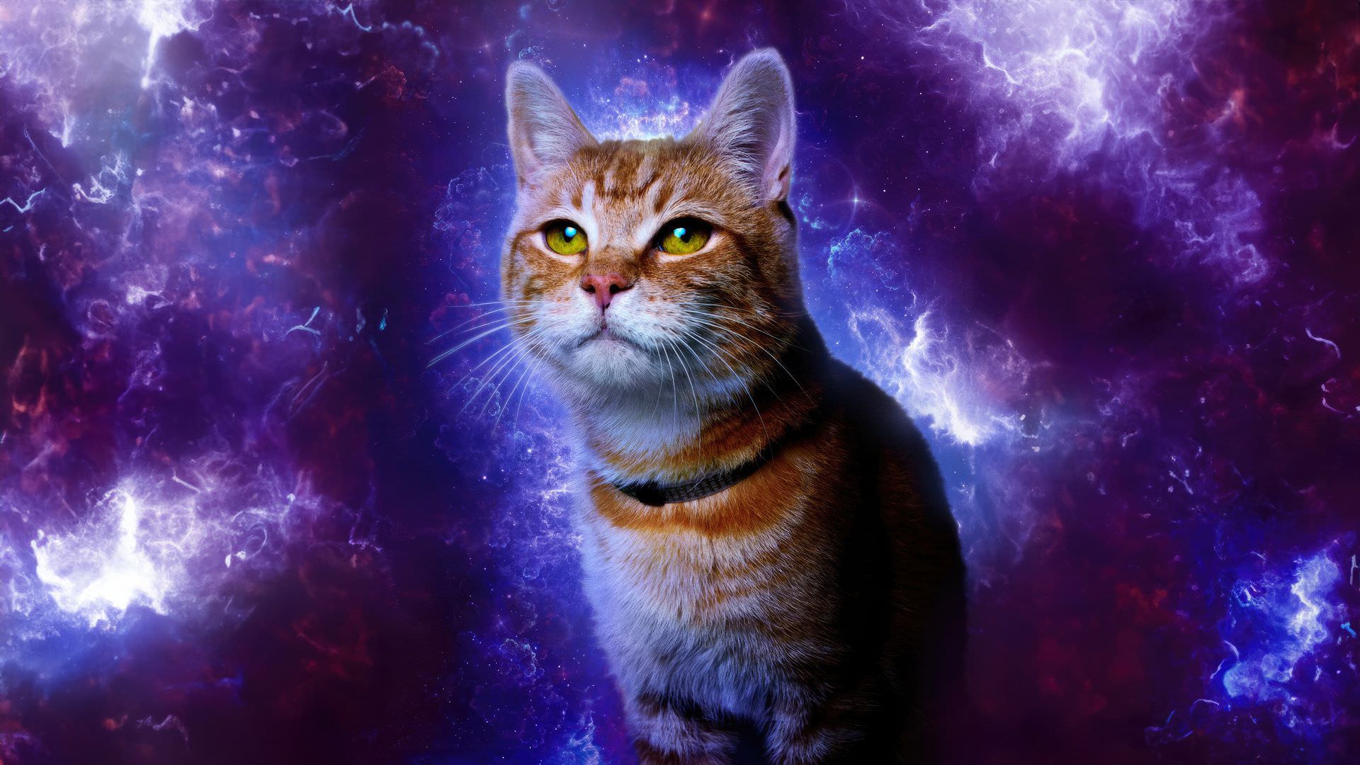 تجمع گربه‌ها در پوستر جدید فیلم The Marvels