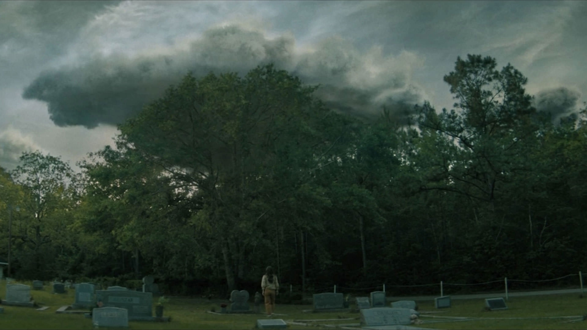 دختری در یک قبرستان مقابل درختان ایستاده است و به آسمانی که در آن ابرهایی سیاه وجود دارند نگاه می‌کند در نمایی از فیلم هیچ‌کس نجاتت نخواهد داد به کارگردانی برایان دافیلد
