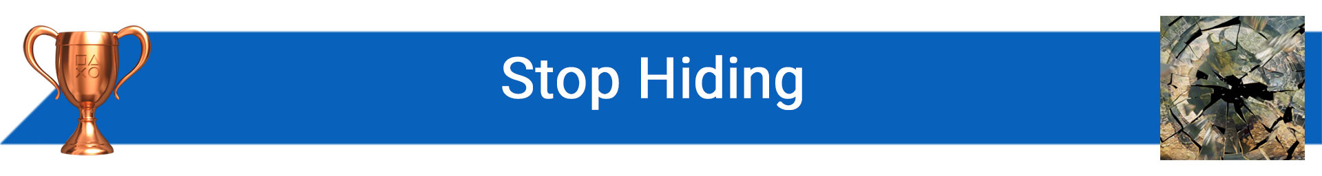 تروفی Stop Hiding