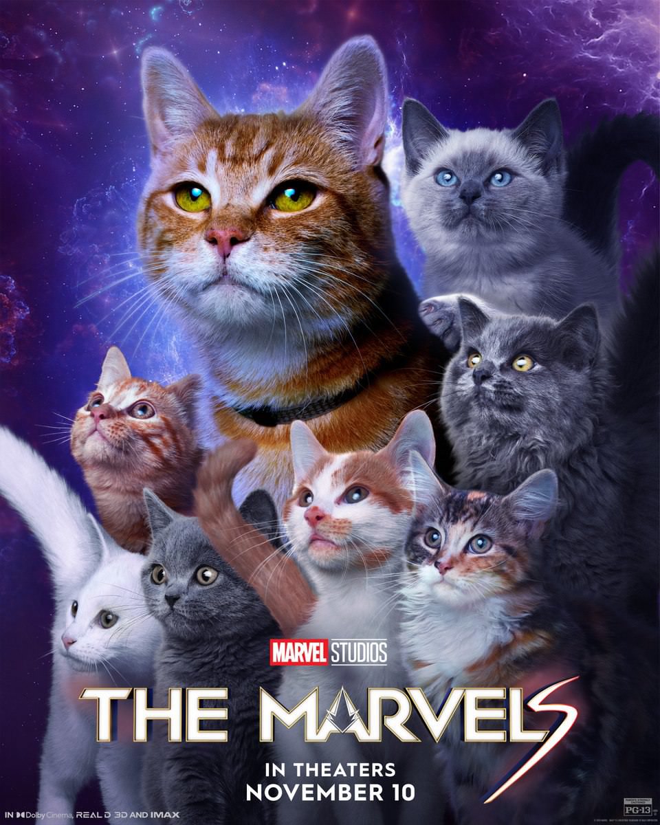 گوس و دیگر گربه‌ها در پوستر جدید فیلم The Marvels به مناسبت روز ملی گربه