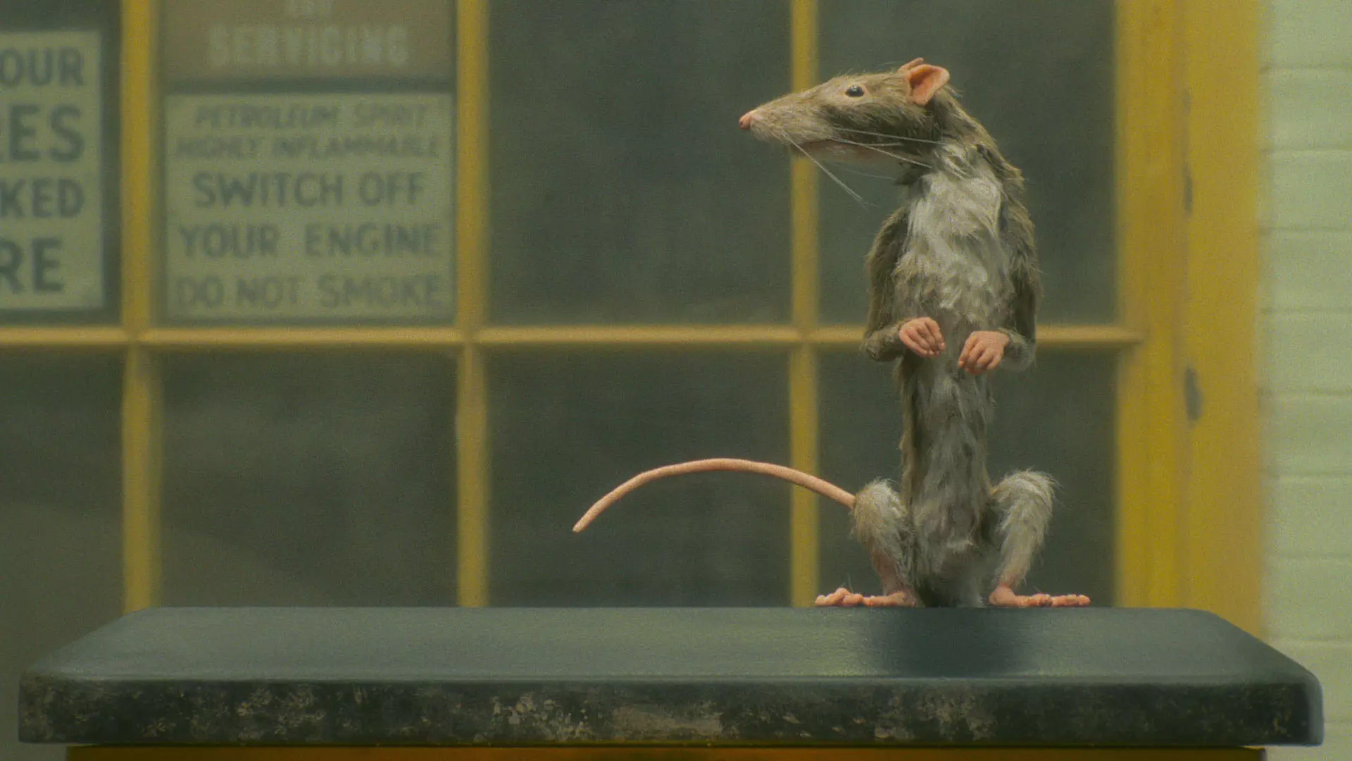 یک موش انیمیشنی در نمایی از فیلم کوتاه موش‌گیر به کارگردانی وس اندرسون