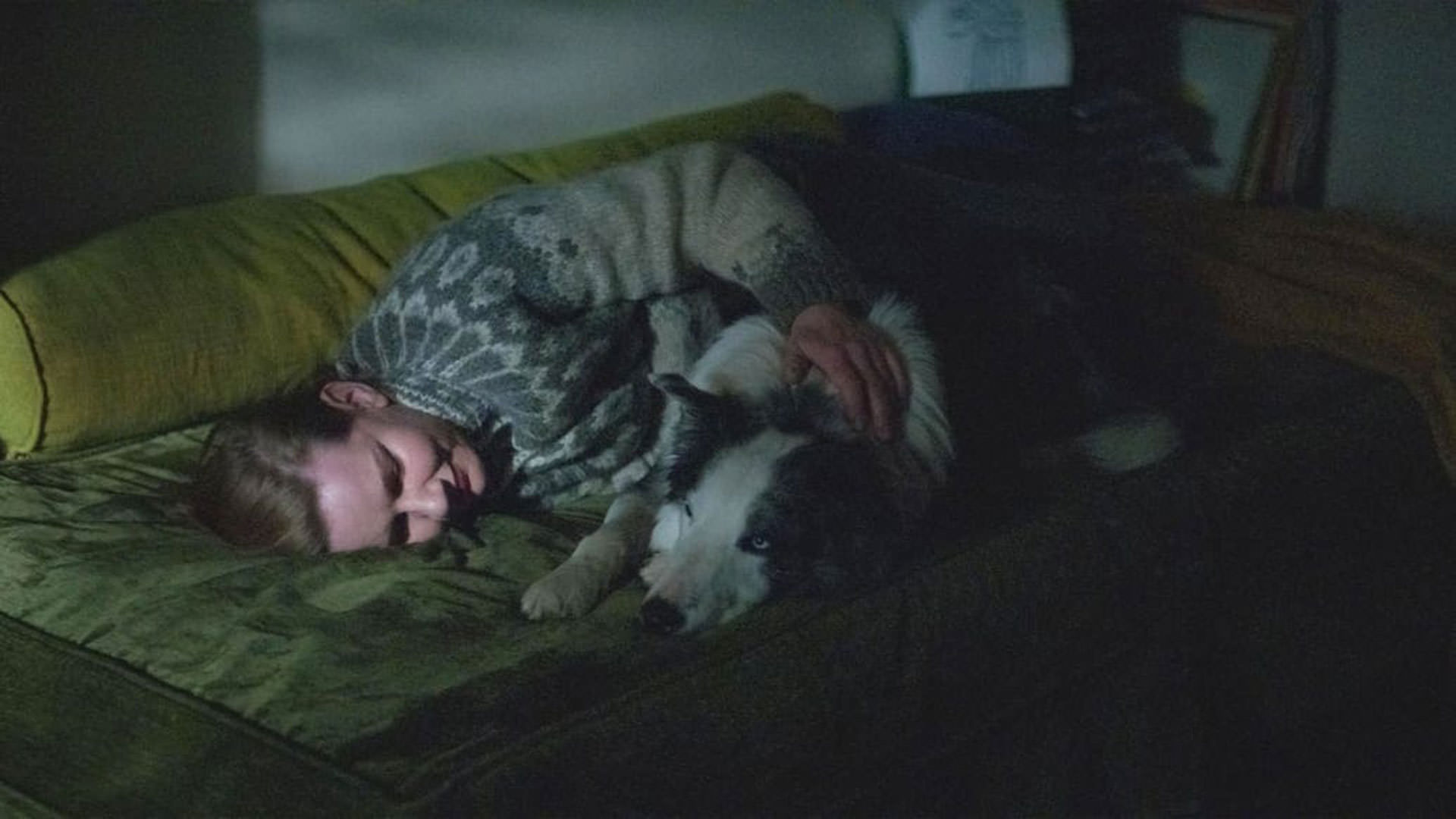 ساندرا هولر دراز کشیده کنار یک سگ در نمایی از فیلم آناتومی یک سقوط به کارگردانی ژوستین تریه