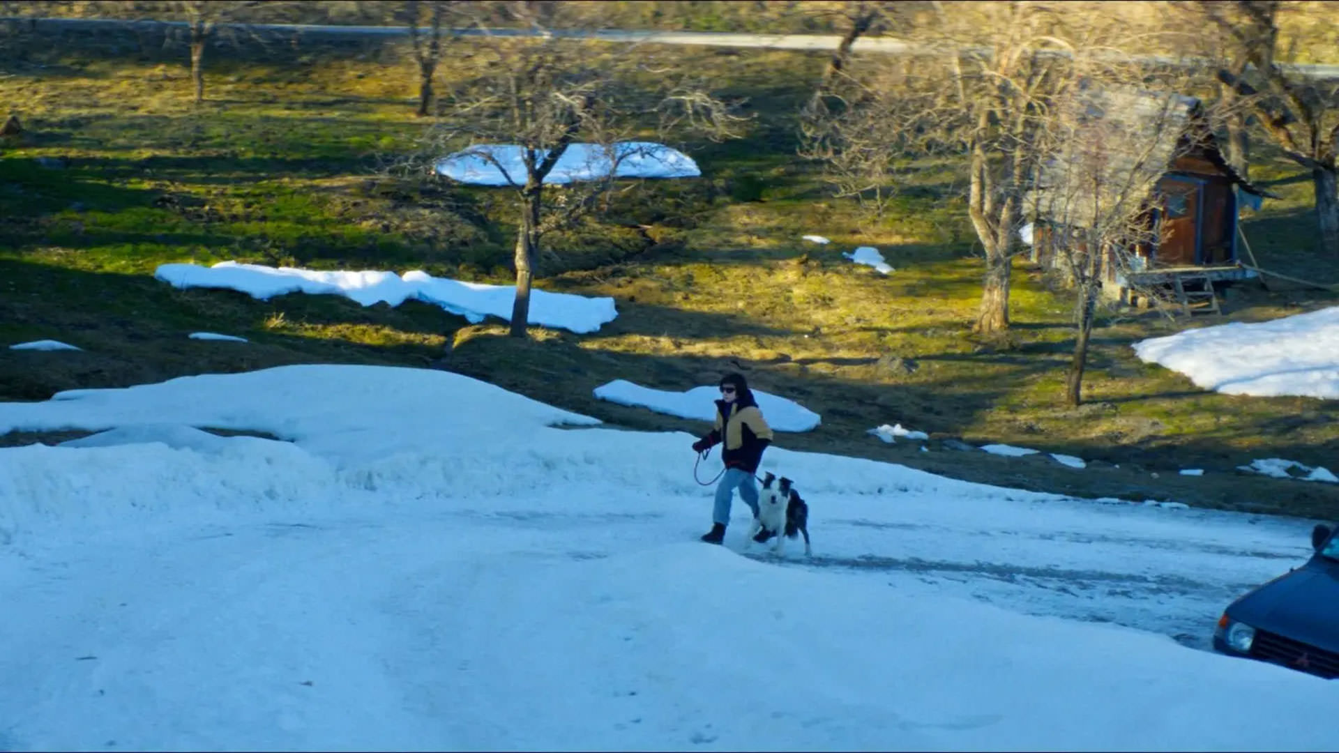 پسرکی روی برف به همراه سگش راه می‌رود در حالی که فضای پشت سرش سبز است در نمایی از فیلم آناتومی یک سقوط به کارگردانی ژوستین تریه