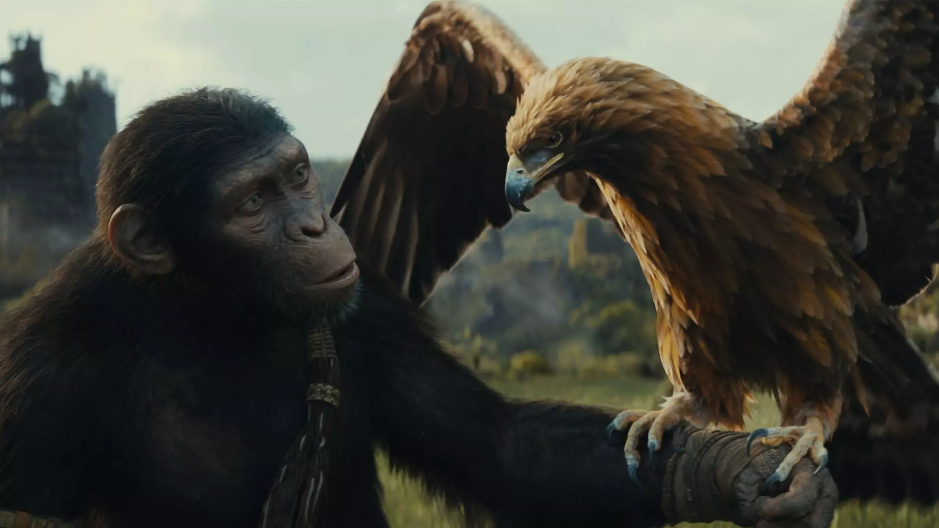 میمون و عقابش در فیلم Kingdom of the Planet of the Apes