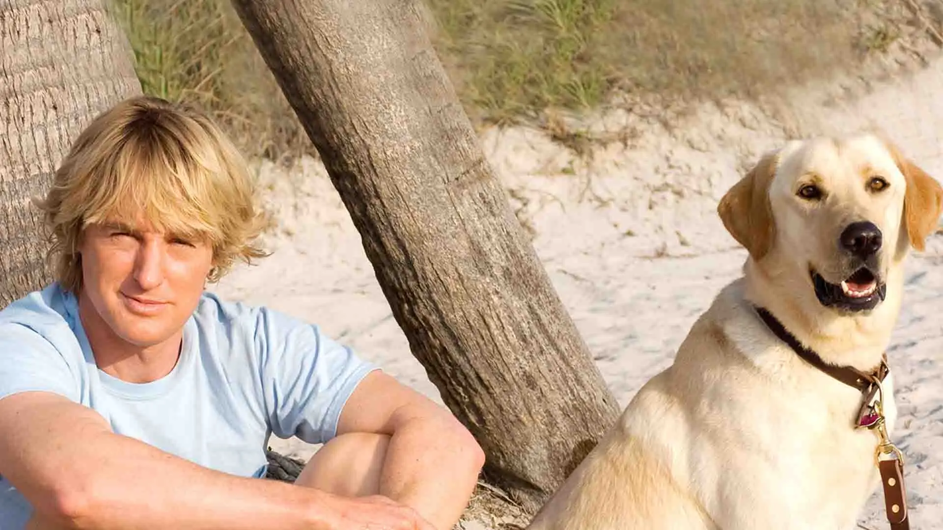 اوون ویلسون به همراه یک سگ در ساحل در فیلم Marley & Me