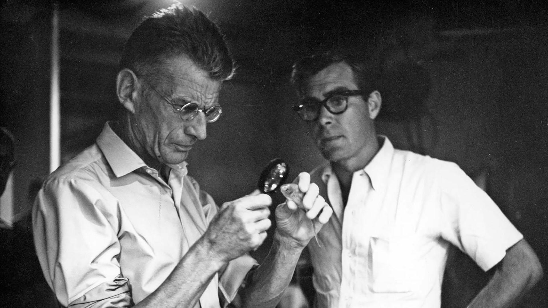 Samuel Beckett dans les coulisses de Notfilm