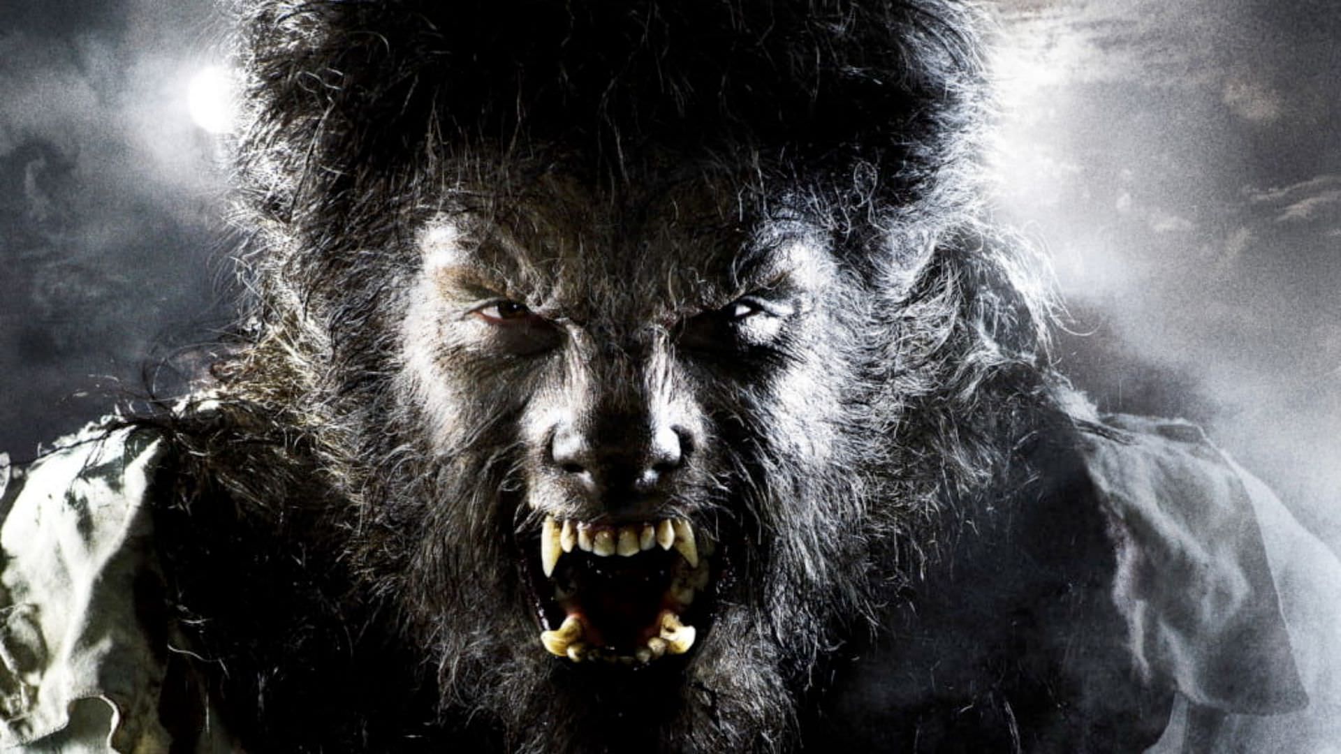 تاریخ اکران فیلم The Wolf Man اعلام شد؛ تغییر بازیگر نقش مرد گرگ نما