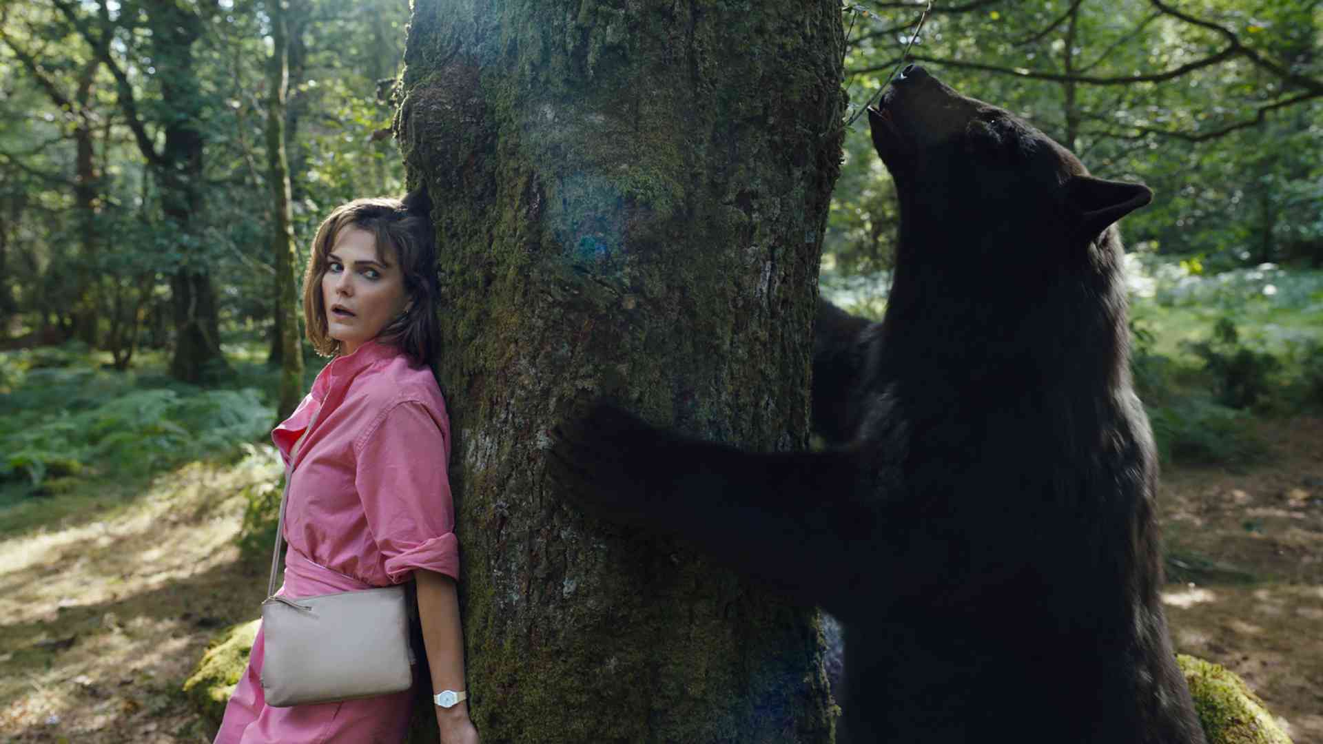 زنی در فیلم Cocaine Bear از دست خرس کوکائینی پنهان شده است