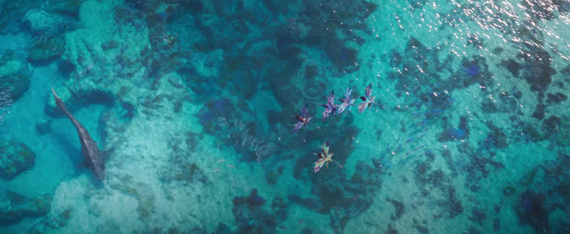 La mer dans le film Avatar by Water, réalisé par James Cameron