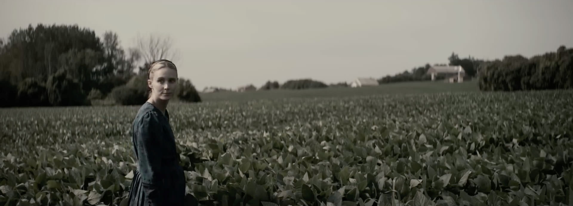 رونی مارا ایستاده داخل یک مزرعه‌ی ذرت در نمایی از فیلم حرف زدن زنان به کارگردانی سارا پلی