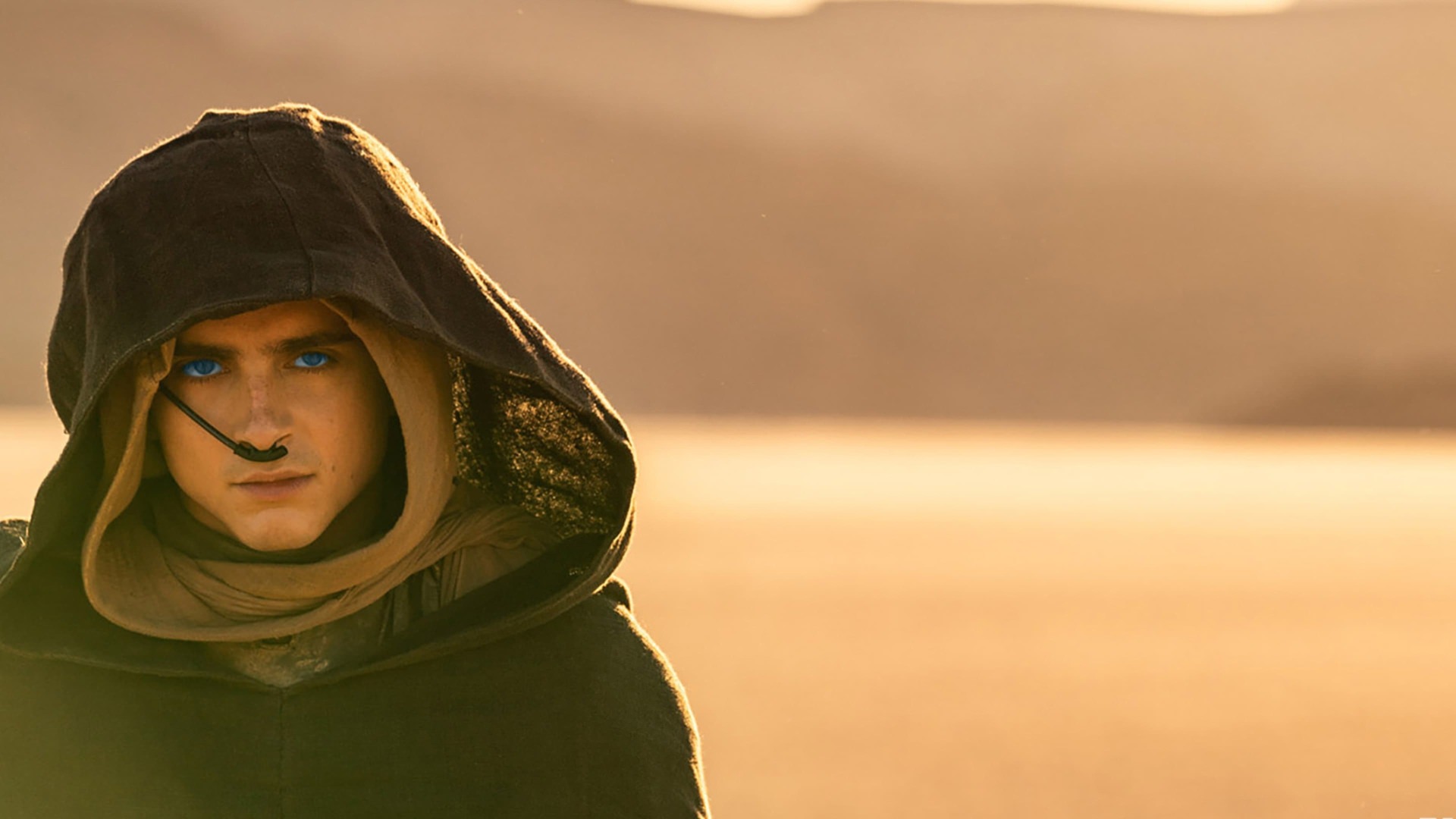 Timothée Chalamet در نقش پل آتریدس در صحرا در Dune Part 2