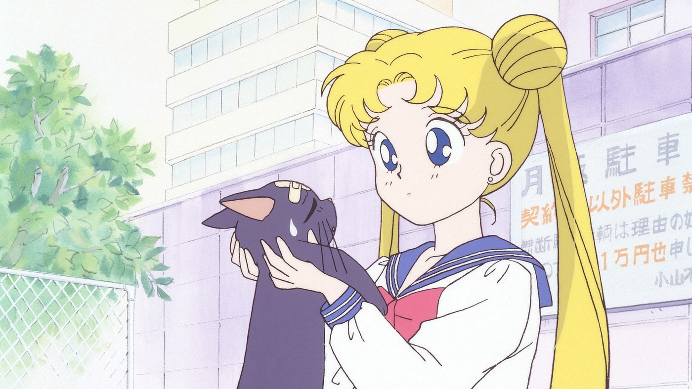 شخصیت اصلی انیمه سیلورمون با یک گربه در دست