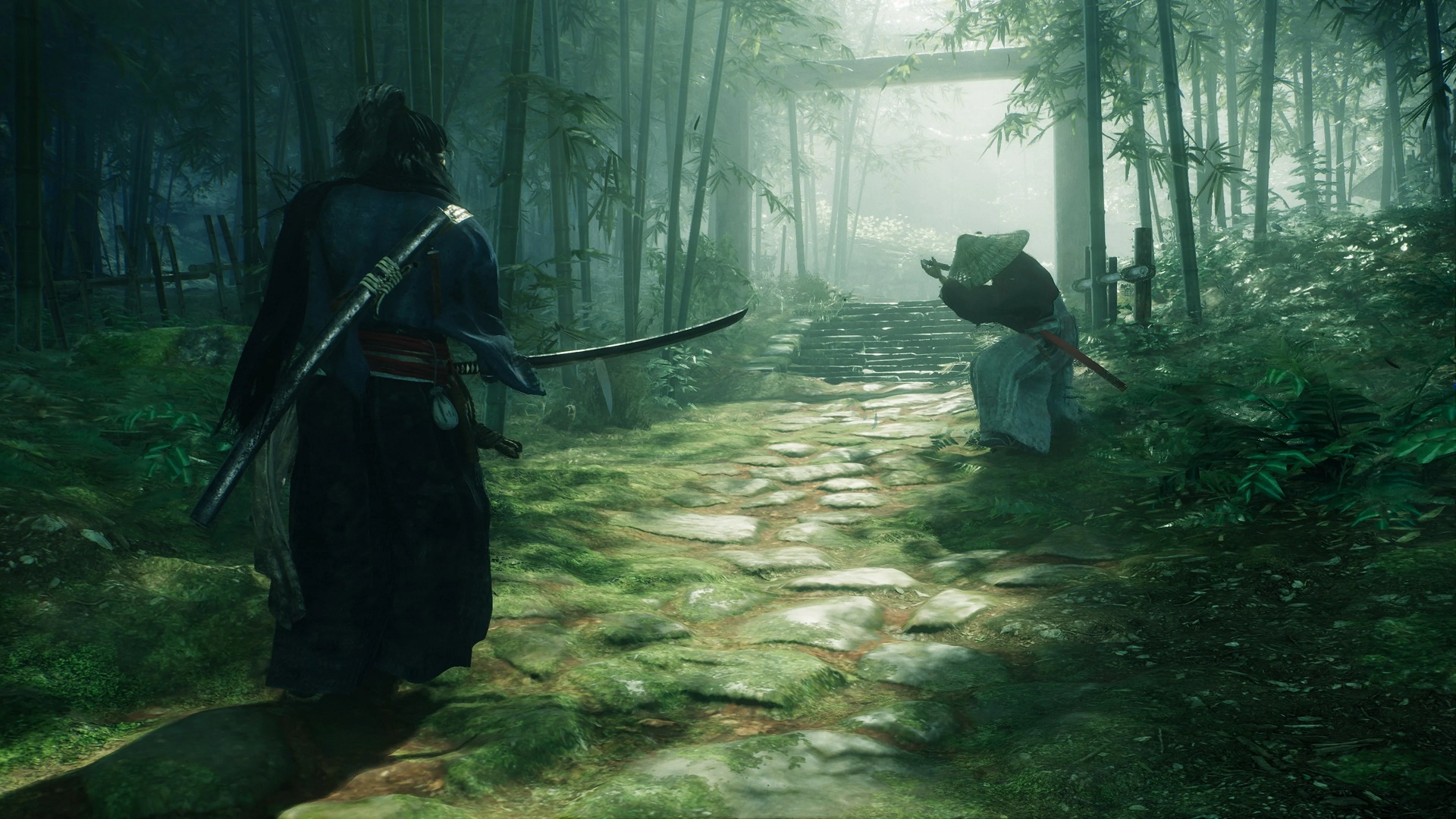 احتمال شباهت داشتن گیم پلی Rise of the Ronin به Assassin's Creed و دارک سولز
