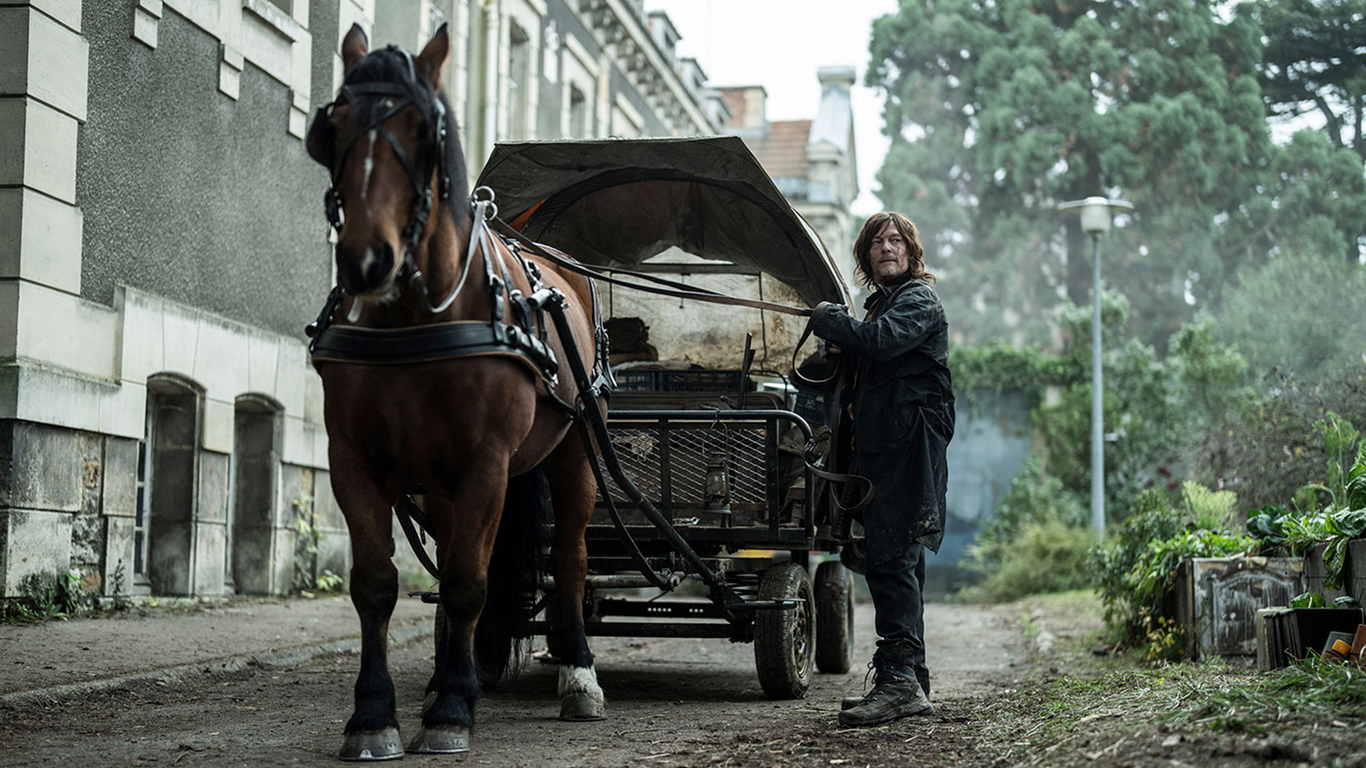 تلاش دریل دیکسون برای بازگشت به خانه در سریال The Walking Dead: Daryl Dixon