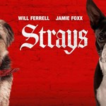نقد فیلم ولگردها (Strays) | سگ‌هایی به‌دنبال انتقام