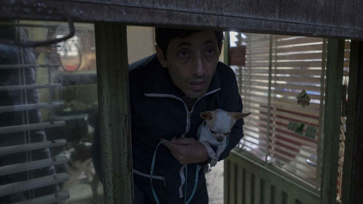 مارچلو پشت پنجره در فیلم مرد سگی