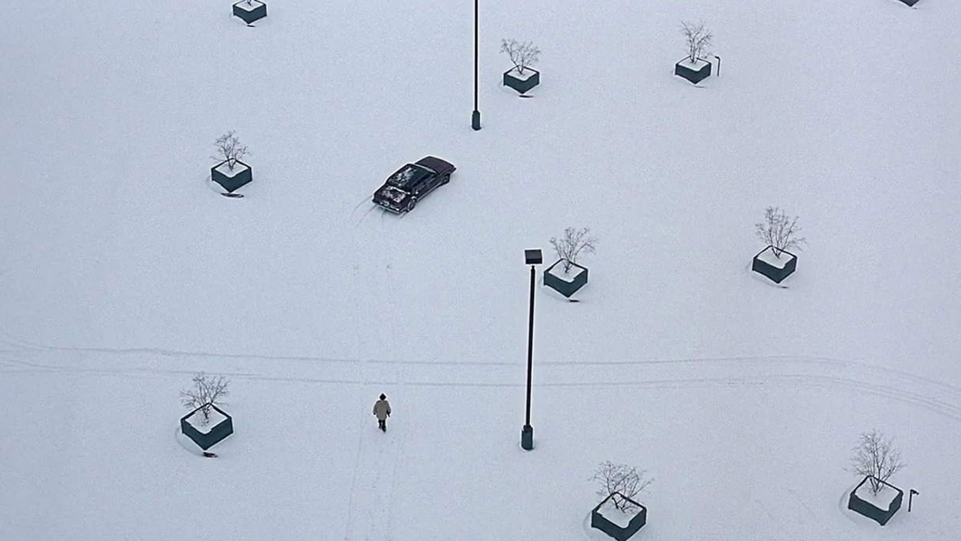 یک عکس باز از برف، چند درخت و یک ماشین در فیلم فارگو به کارگردانی برادران کوئن